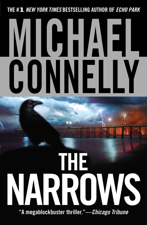 The Narrows (Terry Mc Caleb Book 3) cover